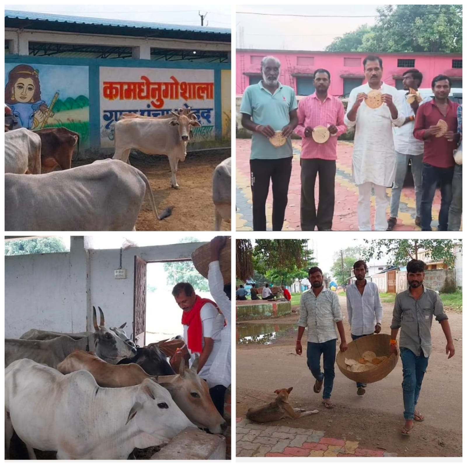 देश के प्रसिद्ध संस्कृत गांव मोहद की अनूठी पहल — “हर घर से एक रोटी” ने बदली गांव की तस्वीर